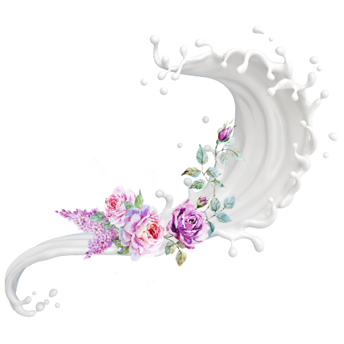 zen spa maderoterpija